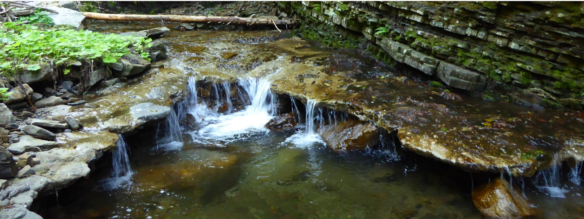 Park Krajobrazowy Beskidu Śląskiego